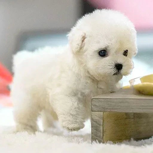 Interactive Plush Puppy Toy With Wagging Tail And Head Turns