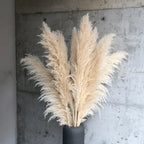 Natural Dried Pampas Grass Stems for Boho Living Room Decor