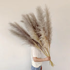 Natural Dried Pampas Grass Stems for Boho Living Room Decor