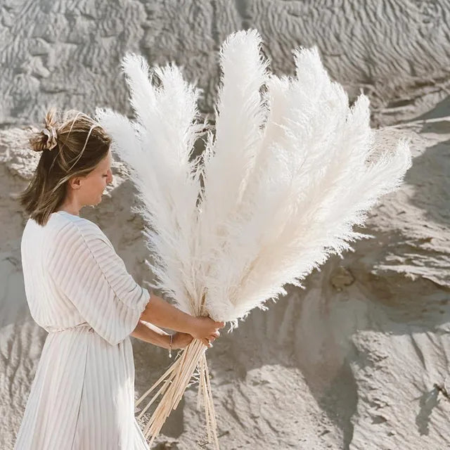 Natural Dried Pampas Grass Stems for Boho Living Room Decor