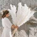 Natural Dried Pampas Grass Stems for Boho Living Room Decor