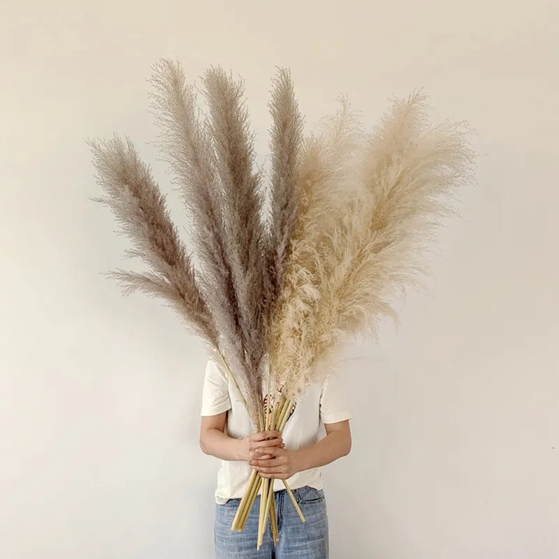 Gedroogd pampasgrasboeket voor boho-wand- en vaasdecoratie