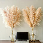 Gedroogd pampasgrasboeket voor boho-wand- en vaasdecoratie