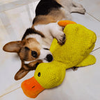 Juguete relajante de pato de peluche para perros, ideal para entretenimiento enriquecedor | Fioriscas