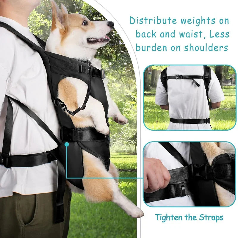 Front-Carry Dog Backpack Carrier For Hiking And Outdoor Trips
