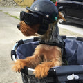 Koiran kypärä- ja suojalasit, TrailPup Trail Riding Edition