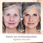 Adaptive-Shade Foundation & Concealer Duo, SPF 15, Anti-Wrinkle Coverage 50+