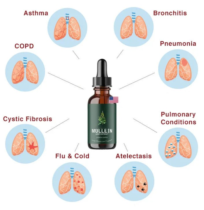 Mullein Chlorophyll Lung Support Drops, Daily Respiratory Formula