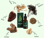 Mullein Chlorophyll Lung Support Drops, Daily Respiratory Formula