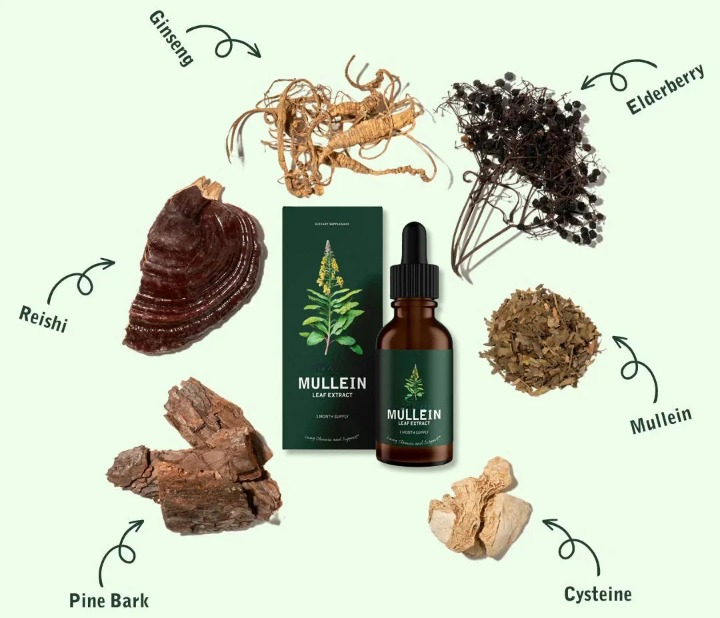 Mullein Chlorophyll Lung Support Drops, Daily Respiratory Formula
