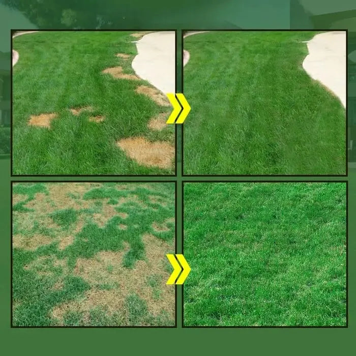 Hydroseed Solution for Lawn Renovation – so you can be proud of your lawn again