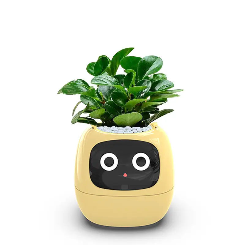 リビングルームの植物ケア向け 7つのセンサー搭載AIスマートプランター | Fioriscas