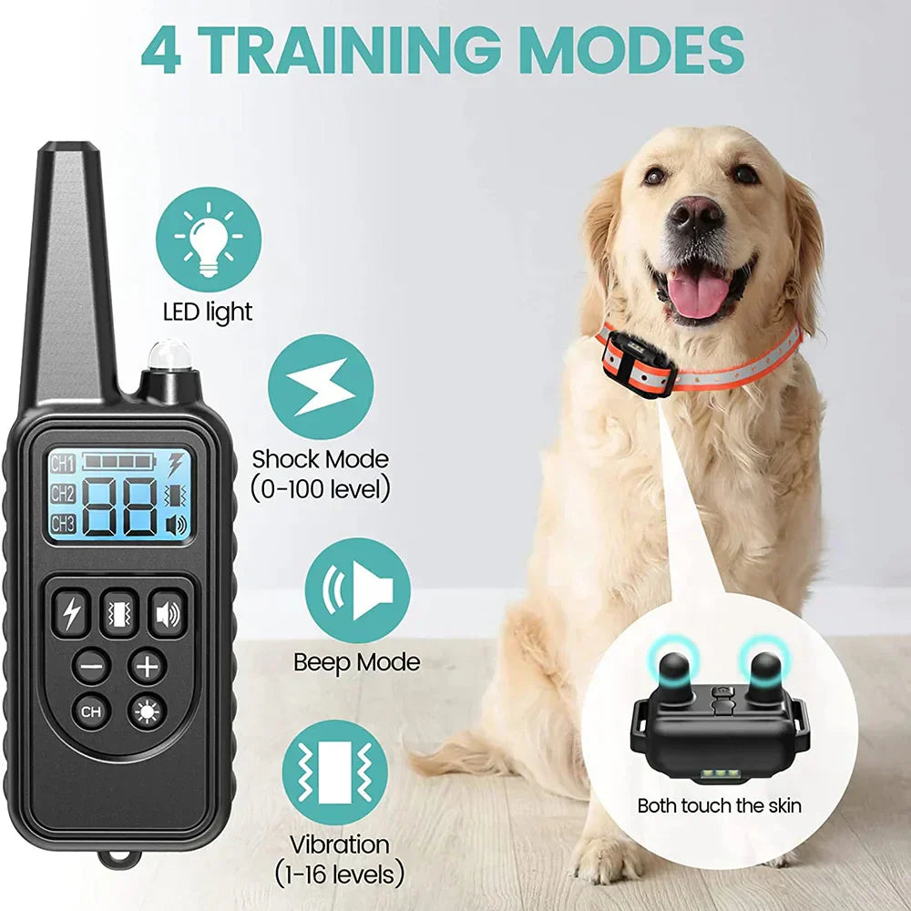 Collier de dressage rechargeable pour chiens, portée de la télécommande de 800 m et conception étanche