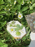 Mini Flower Press | Compact Botanical Keepsake Maker | Portable Craft Tool