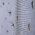Selbstklebendes Fenstergitter, magnetisches Insektennetz für Zuhause