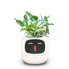 リビングルームの植物ケア向け 7つのセンサー搭載AIスマートプランター | Fioriscas