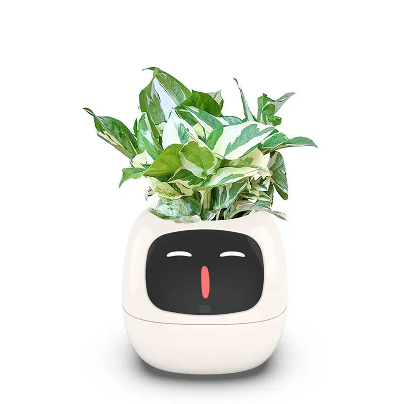 リビングルームの植物ケア向け 7つのセンサー搭載AIスマートプランター | Fioriscas
