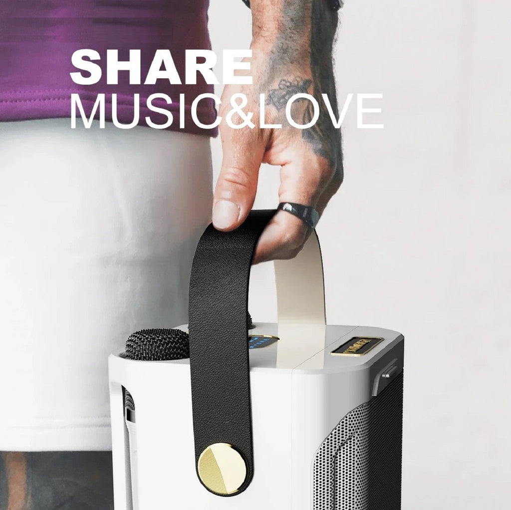 100W Portable Karaoke Machine With Bluetooth 5.3 & Dual Wireless Mics