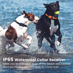 Kirrea waterdichte trainingshalsband voor honden met afstandsbediening, bereik van 800 m