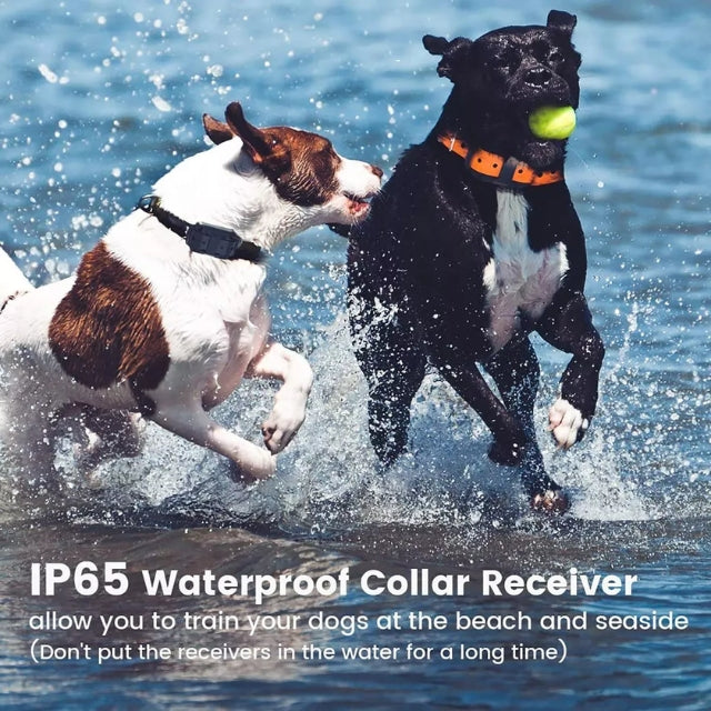 Kirrea waterdichte trainingshalsband voor honden met afstandsbediening, bereik van 800 m