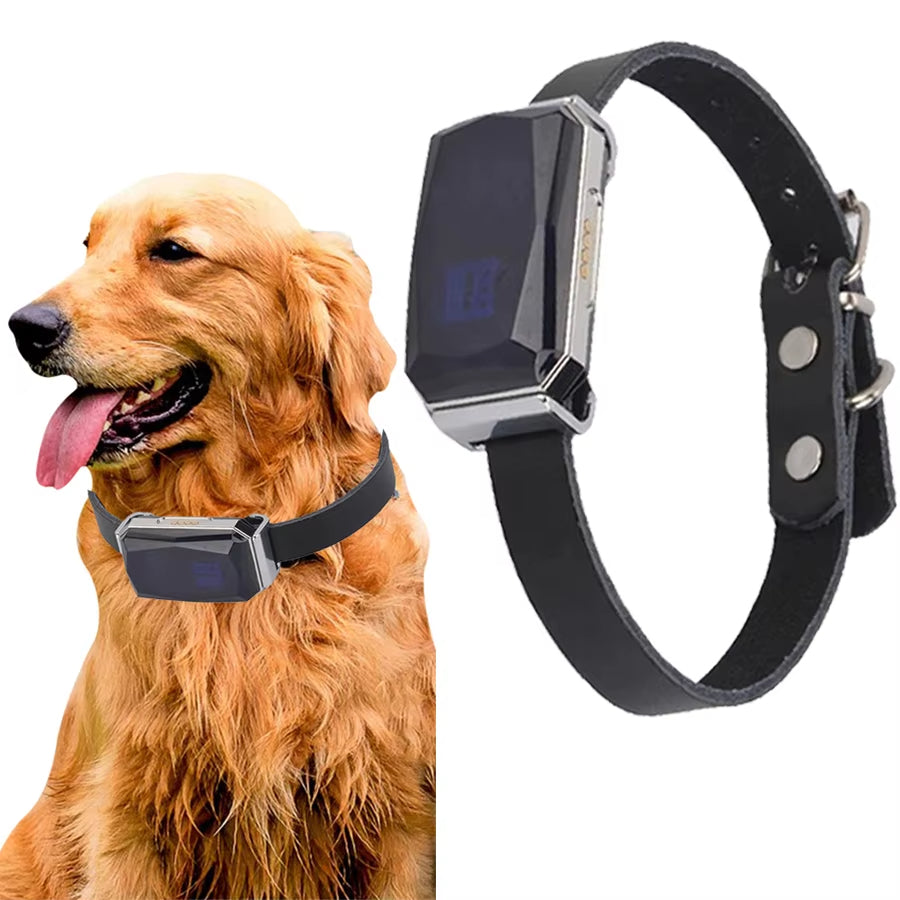 簡単セットアップでしっかり装着できる犬用GPSトラッカーカラー｜Fioriscas