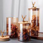 Sæt med ravfarvede glasbeholdere, Elowen Stag, 3 dele, guldlåg