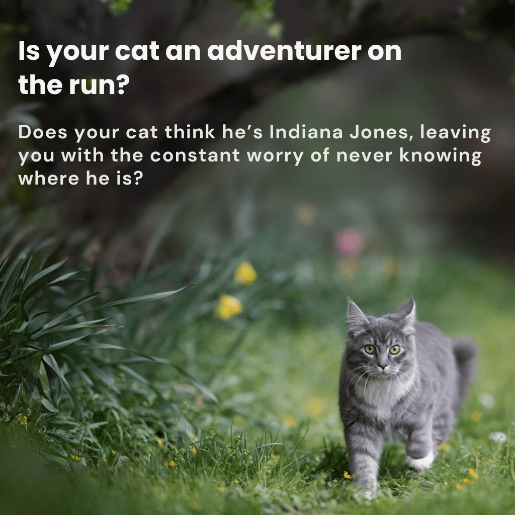 Traceur GPS étanche PawTrail pour chat, suivi de localisation en temps réel