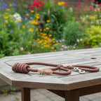 Robust dog leash made from climbing rope for maximum safety - Fioriscas
