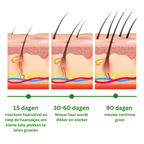 Rosemary Oil Supports Hair Growth And Refreshes Scalp | Fioriscas