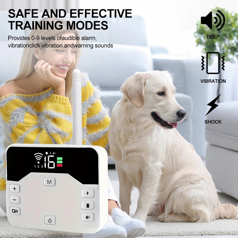 2-in-1 Wireless Fence & Training Collar Built for Active Dogs