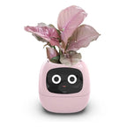 リビングルームの植物ケア向け 7つのセンサー搭載AIスマートプランター | Fioriscas