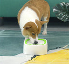 No-Spill Pet Water Dispenser With Double-Rim Bowl Design