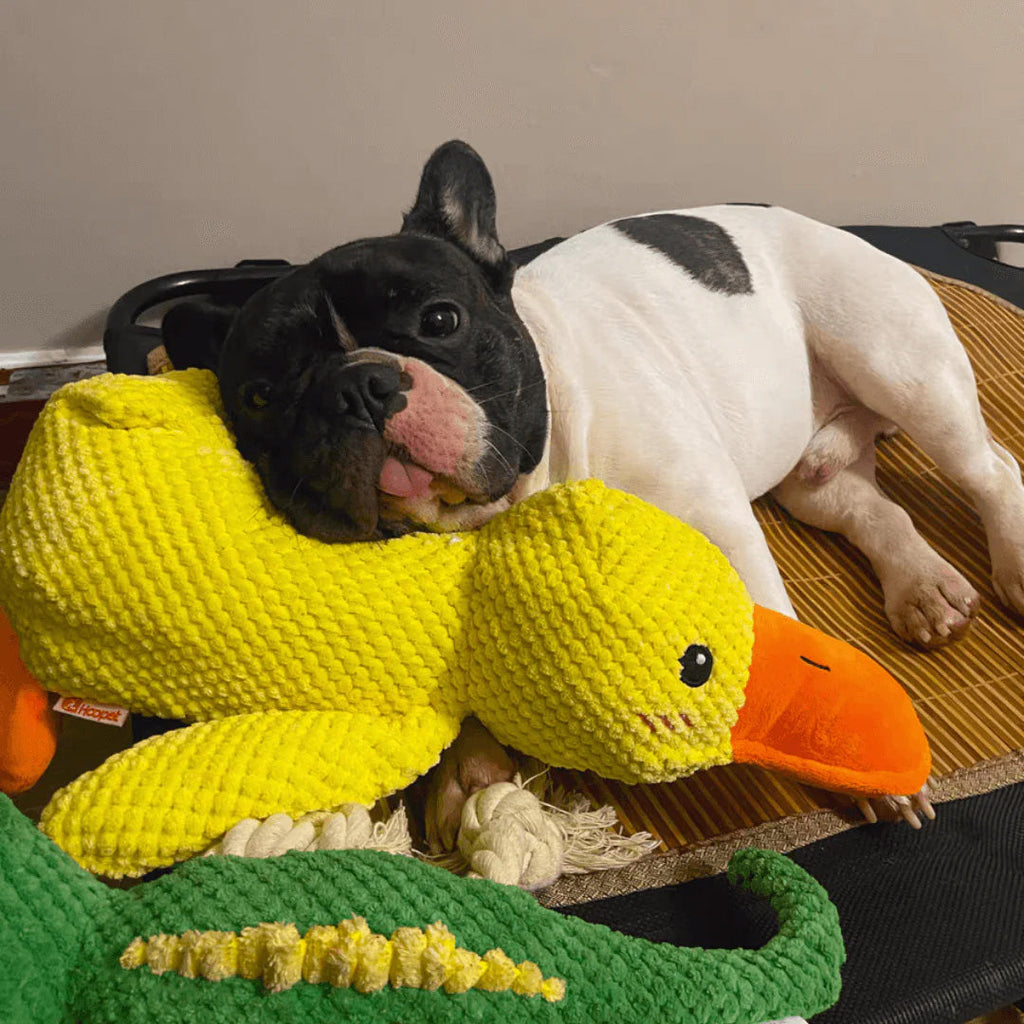 Juguete relajante de pato de peluche para perros, ideal para entretenimiento enriquecedor | Fioriscas