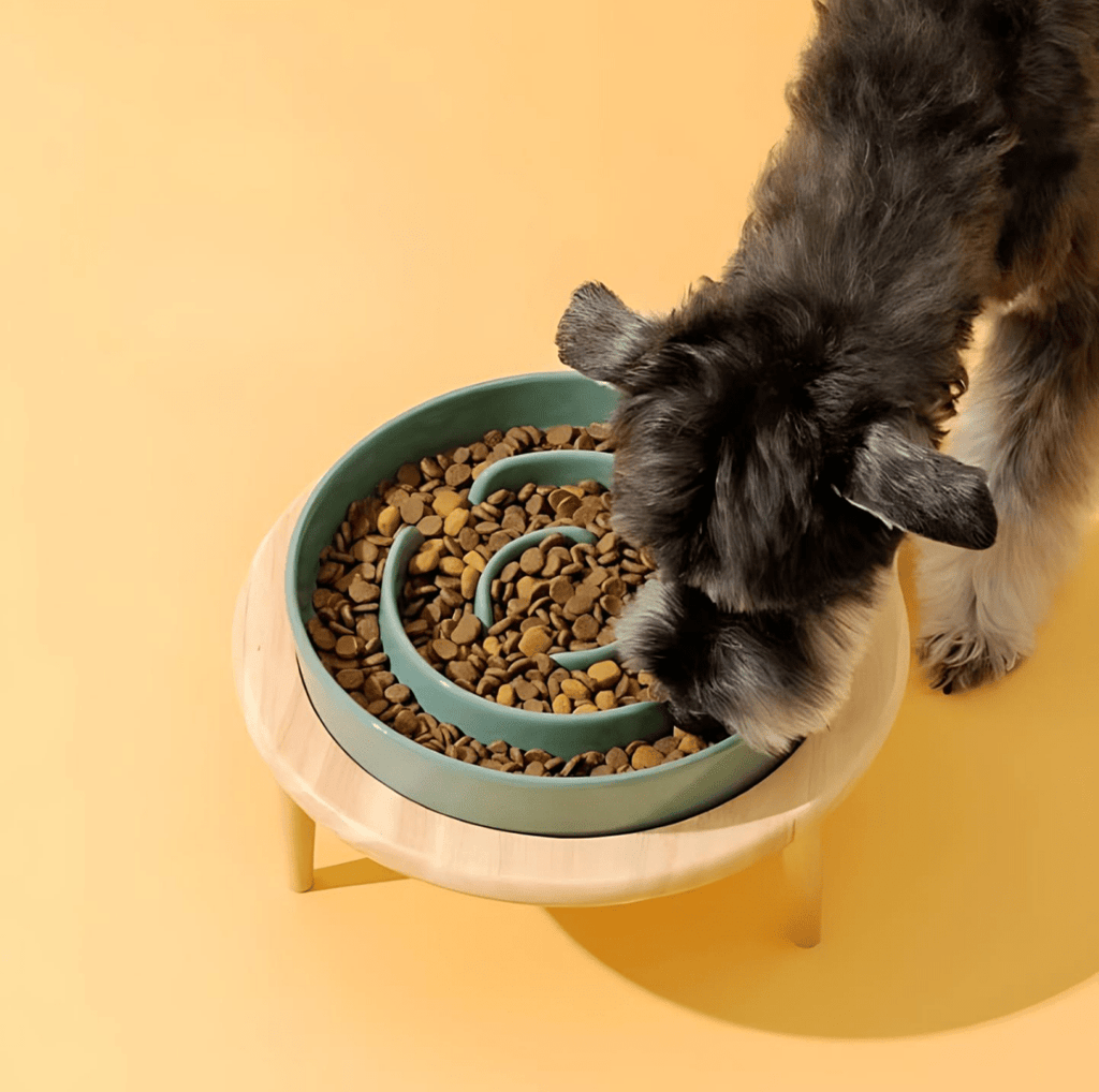 Comedouro lento premium para cães e gatos - Fioriscas