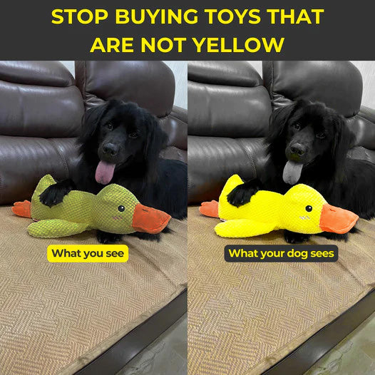 Juguete relajante de pato de peluche para perros, ideal para entretenimiento enriquecedor | Fioriscas
