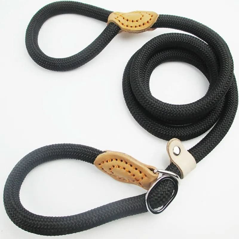 Robust dog leash made from climbing rope for maximum safety - Fioriscas
