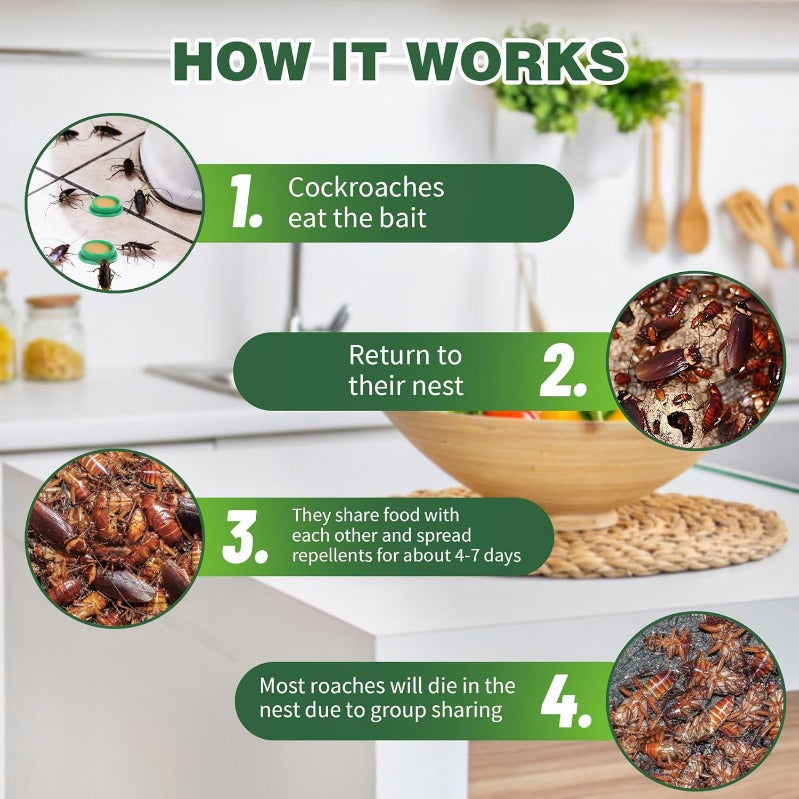 Child- & Pet-Safe Roach Bait Discs