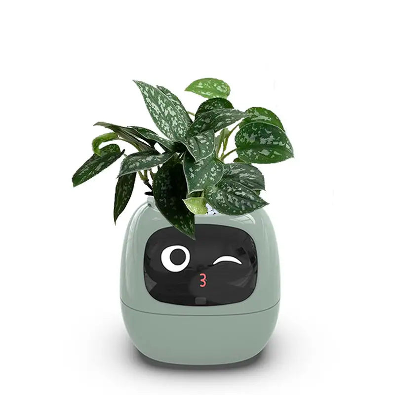 リビングルームの植物ケア向け 7つのセンサー搭載AIスマートプランター | Fioriscas