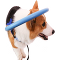 Collare guida con paraurti per cani ciechi WandaPaws, taglie dalla piccola alla grande