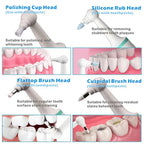 Plaque Remover Tool for Daily Teeth Cleaning and Healthier Gums