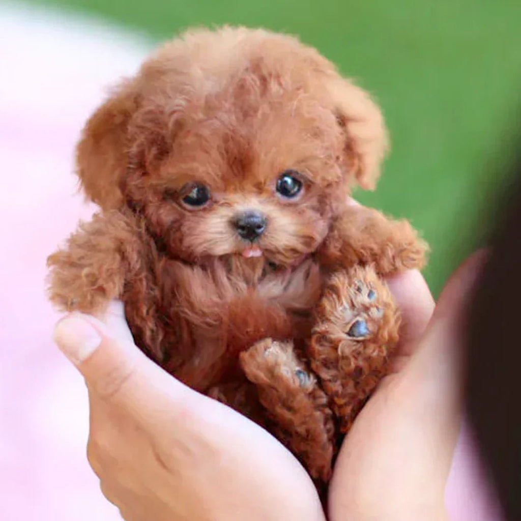 Interactive Plush Puppy Toy With Wagging Tail And Head Turns