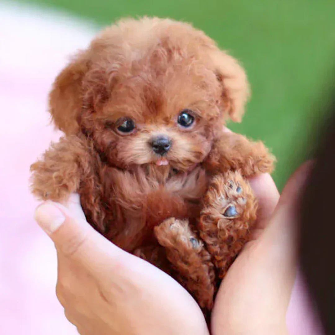Interactive Plush Puppy Toy With Wagging Tail And Head Turns