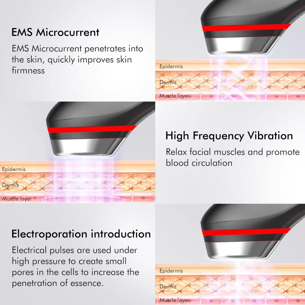 Six In One LED Skin Renewal Tool For Radiant Complexion | Fioriscas
