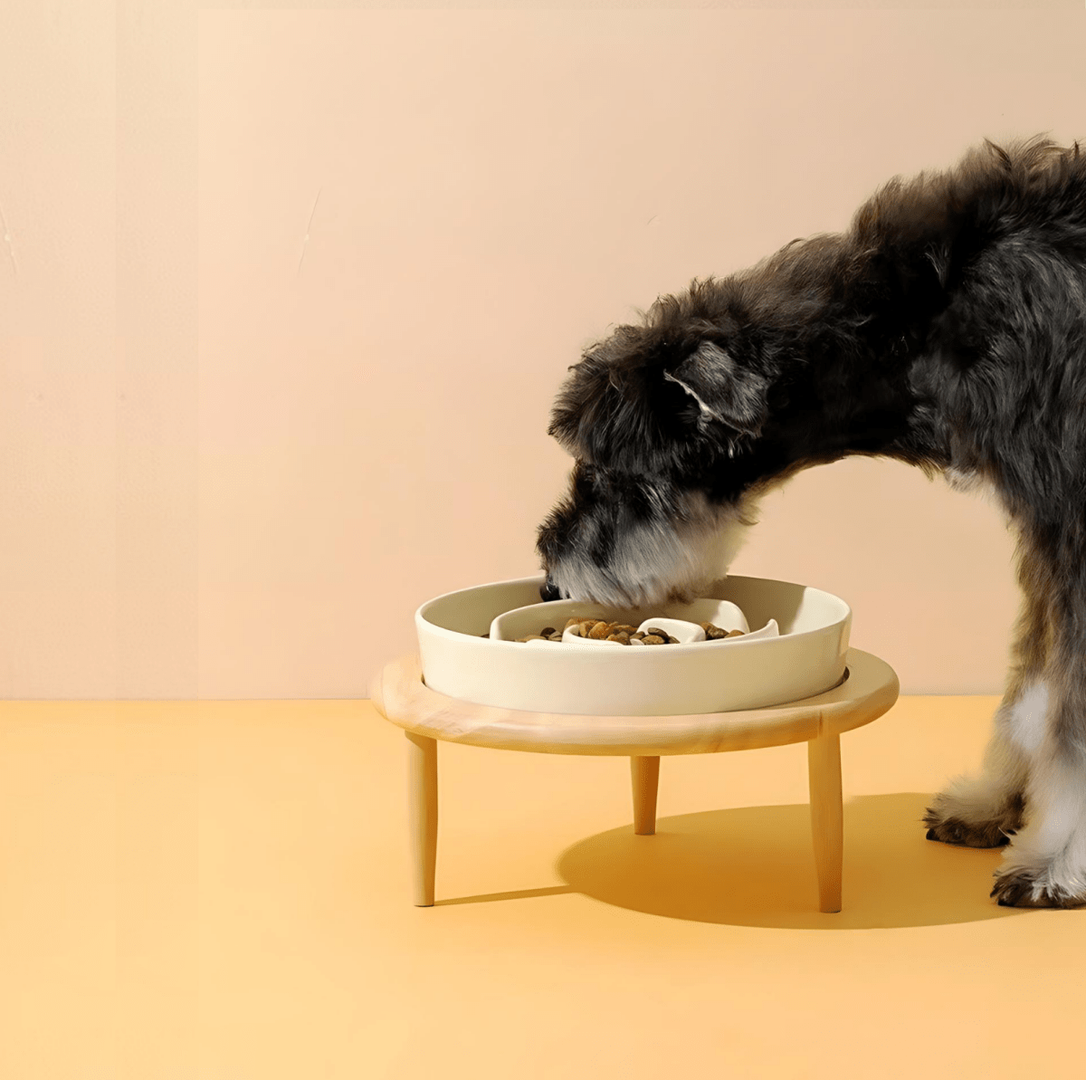 Comedouro lento premium para cães e gatos - Fioriscas