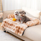 Cozy Dog Sofa Bed with Furniture Protection - Fioriscas