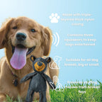Giocattolo TuffPaws Bear Tough per masticatori aggressivi, costruito per durare | Fioriscas