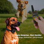 Collier de dressage rechargeable pour chiens, portée de la télécommande de 800 m et conception étanche