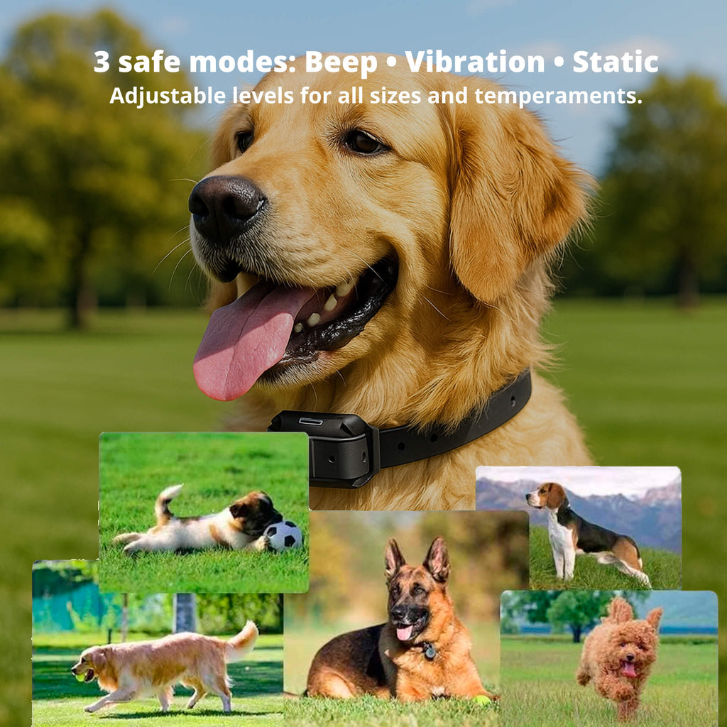 Collier de dressage rechargeable pour chiens, portée de la télécommande de 800 m et conception étanche