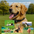 Collier de dressage rechargeable pour chiens, portée de la télécommande de 800 m et conception étanche