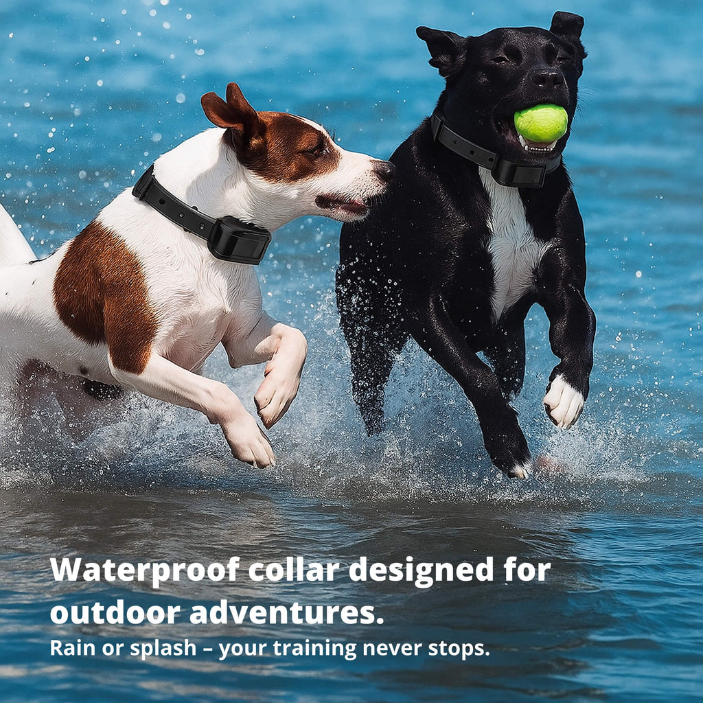 Collier de dressage rechargeable pour chiens, portée de la télécommande de 800 m et conception étanche
